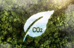 Vietnamese carbon market yet to achieve lift off