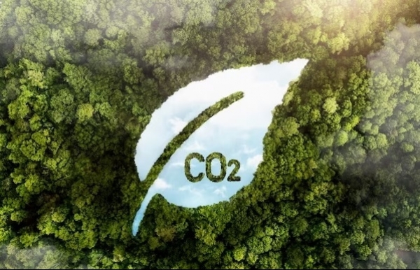 Vietnamese carbon market yet to achieve lift off - Vimarsana News