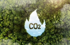 COP28 phải đối mặt với cuộc tranh luận về tín dụng carbon gây tranh cãi