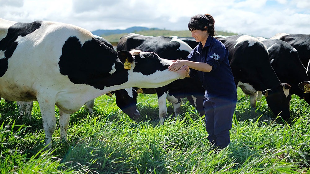 Dairy groups take on greener vision