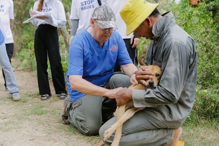 Low vaccination rate and dog smuggling aiding transmission in Vietnam
