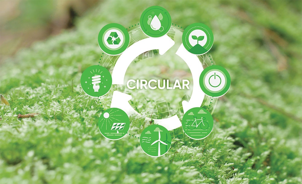 Implementation of the circular economy in Vietnam