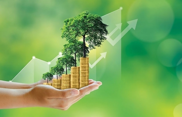 Companies shape up to adopt global norms - Vimarsana News
