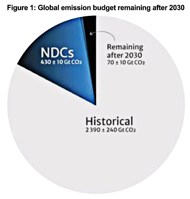 Putting the carbon market to work