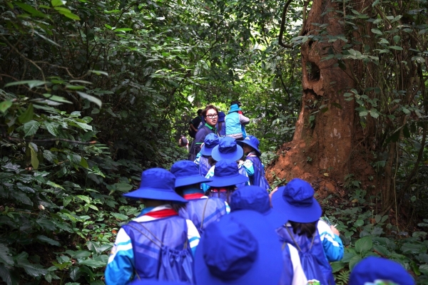 Stakeholders join hands to raise awareness of forest protection - Vimarsana News