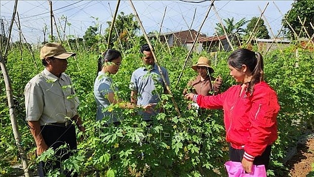 Multidimensional poverty rate drops to 2.93% | Society | Vietnam+ (VietnamPlus)