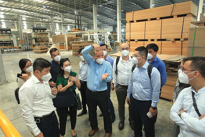 Timber industry in Vietnam awaits FSC certification drive