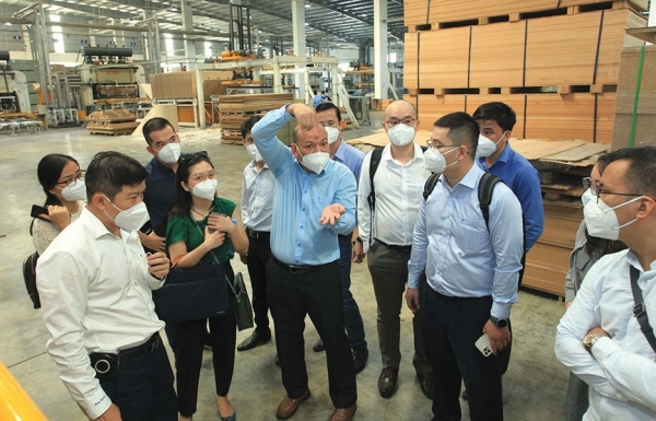 Timber industry in Vietnam awaits FSC certification drive - Vimarsana News