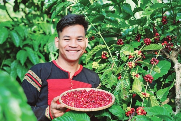 Putting E De coffee beans on world map - Vimarsana News