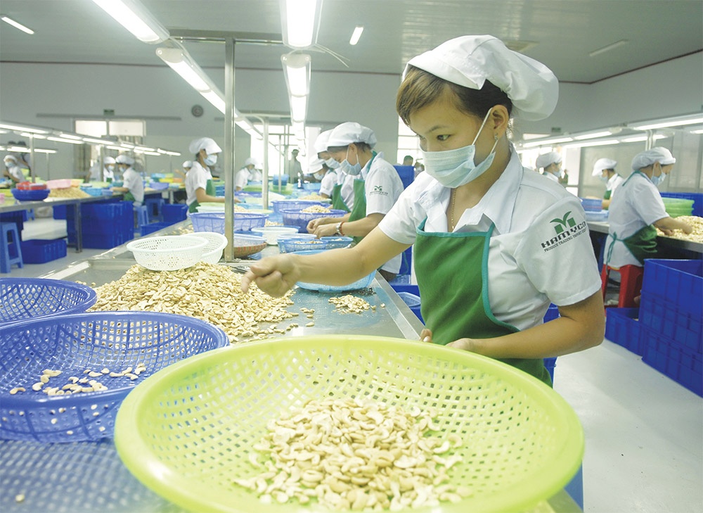 EU-Vietnam Free Trade Agreement implementation kicks into higher gear