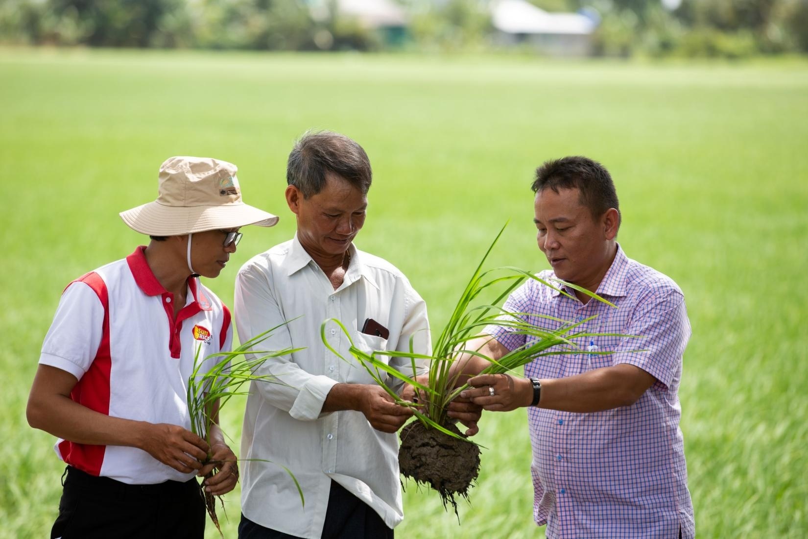 ACIAR aids Vietnam to modernise smallholder farming
