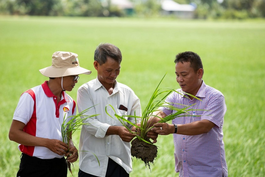 ACIAR helps Vietnam modernise its smallholder farming systems