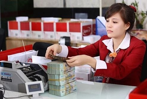 Record-low interest rates drive early-year credit growth | Business | Vietnam+ (VietnamPlus)