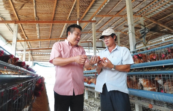 Japfa Comfeed fortifies operations in Vietnam - Vimarsana News