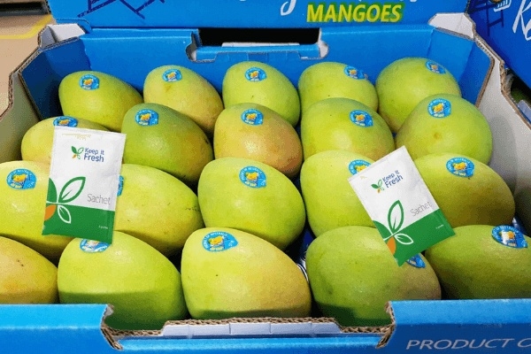 Inspiring signs for agricultural exports - Vimarsana News