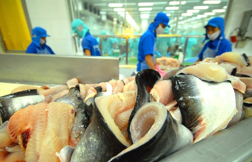 New review nears on Vietnam’s unregulated fishing status