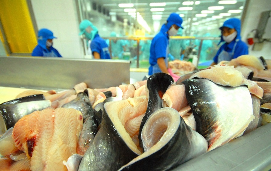 New review nears on Vietnam’s unregulated fishing status