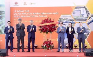 Erex to build new biomass plant in Tuyen Quang