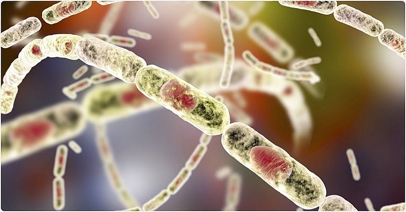 Laos reports three cases of anthrax