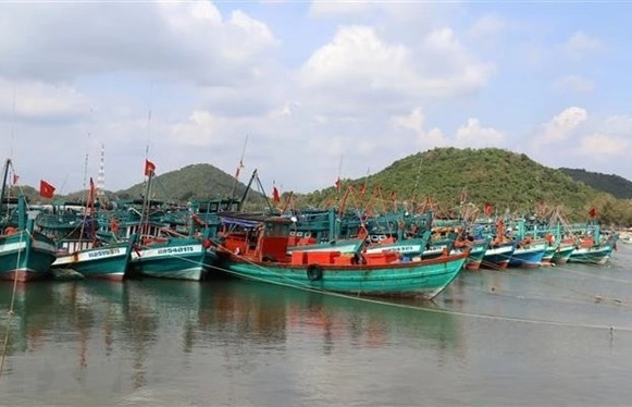 ba ria vung tau levies heavy fines on vessels violating iuu fishing regulations