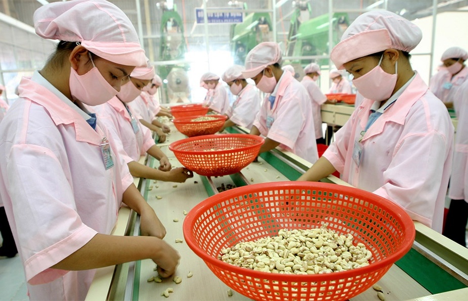 vietnamese agri exports to uk continue forward motion