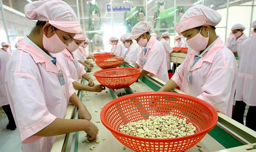 Vietnamese agri-exports to UK continue forward motion