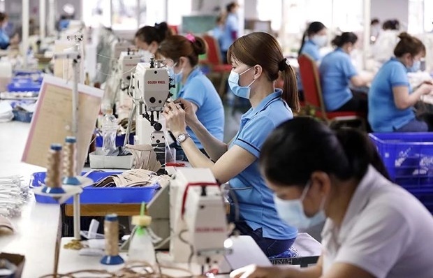 vietnamese economy proceeding as predicted experts
