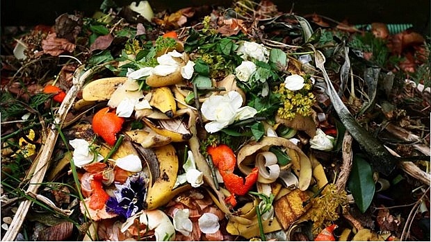 Thai researchers turn food waste into biochar | World | Vietnam+ (VietnamPlus)