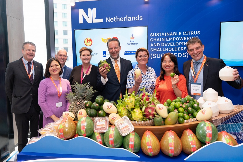 Dutch and Vietnamese businesses sign cooperation agreements for Mekong Delta