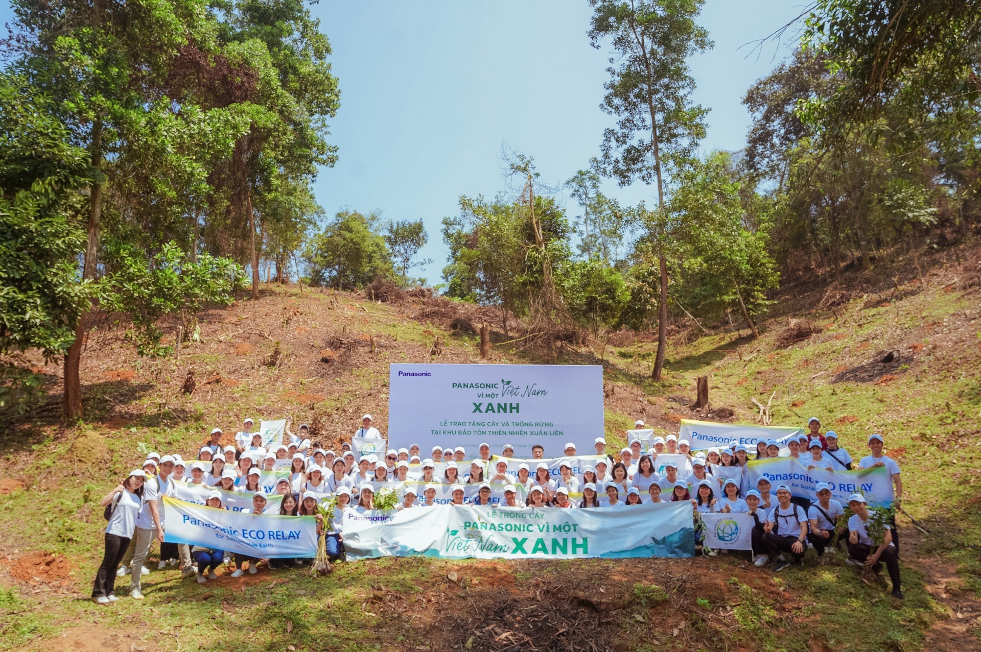 Panasonic plants specialised forests in Vietnam