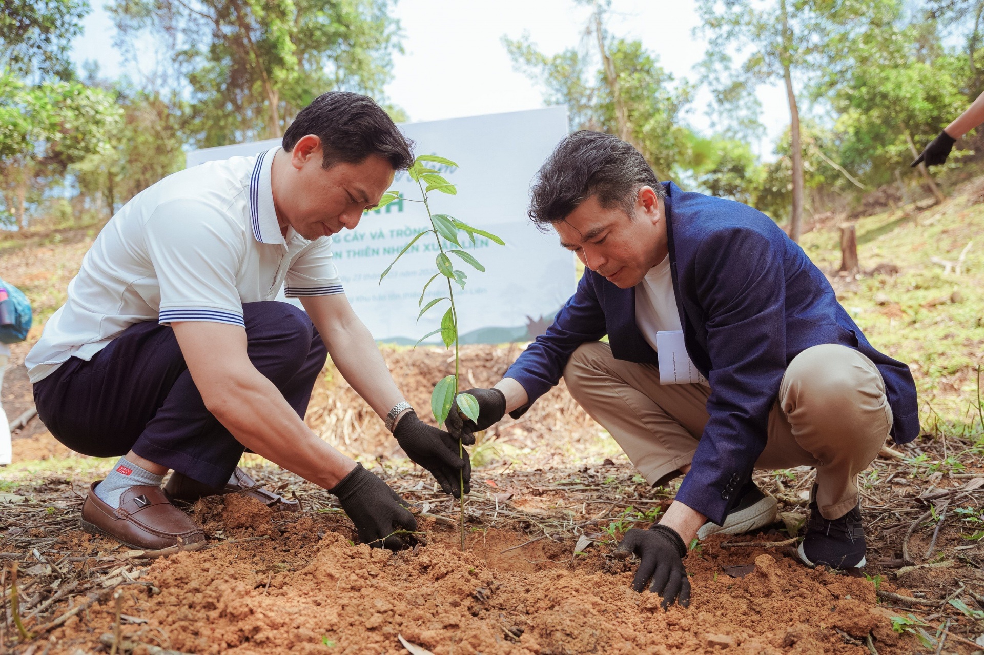 Panasonic trồng rừng đặc dụng tại Việt Nam