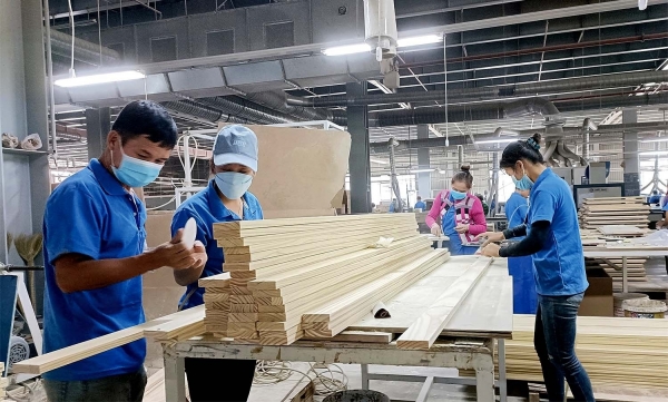 Wood sector sees signs of recovery - Vimarsana News