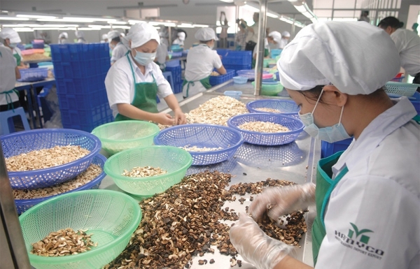 CPTPP gains to be built on expansion - Vimarsana News