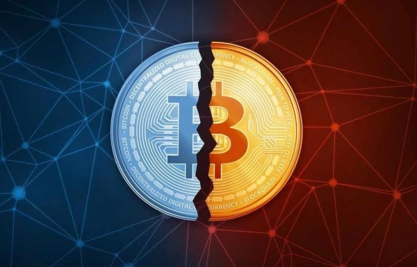 Bitcoin world faces "halving": what"s happening? - Vimarsana News