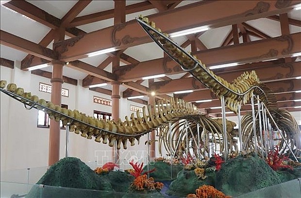 Whale skeletons in Ly Son attractive to visitors
