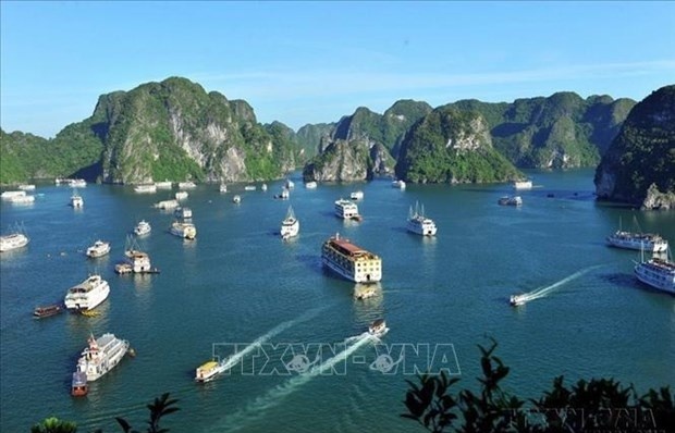 vessels in ha long carnival to perform not to serve tourists authority
