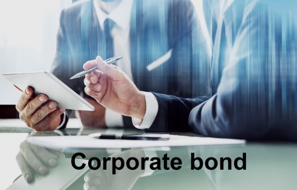 Credit rating culture deemed vital for transparency - Vimarsana News