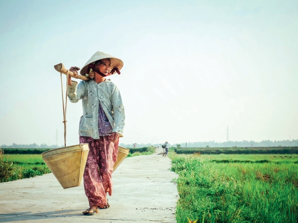 Vietnam"s swiftly aging population prompts strategic government initiatives - Vimarsana News
