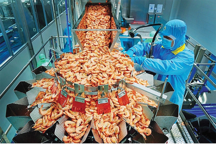 Vietnamese shrimp a gateway to EU market