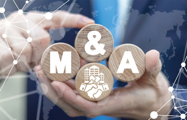 Deals propel domestic diversification - Vimarsana News