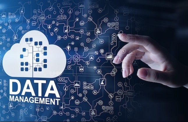 Businesses struggle with data management