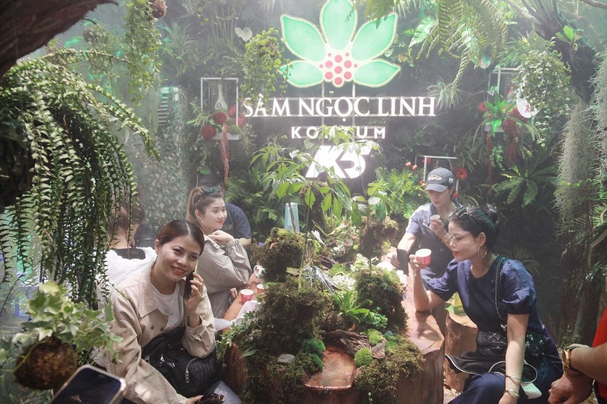 First International Ginseng, Aromatic and Medicinal Herbs Festival takes place