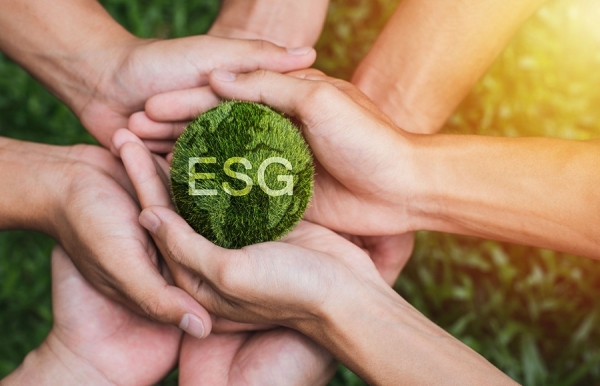 ESG standards fit for the country