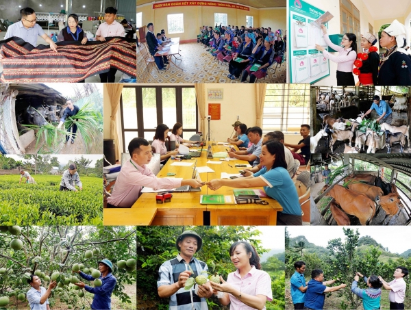 VBSP creating equal opportunities for poverty-stricken families - Vimarsana News