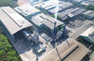 Investors grapple with PPP waste projects