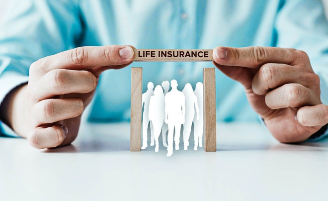 Insurance firms to bounce back in 2024