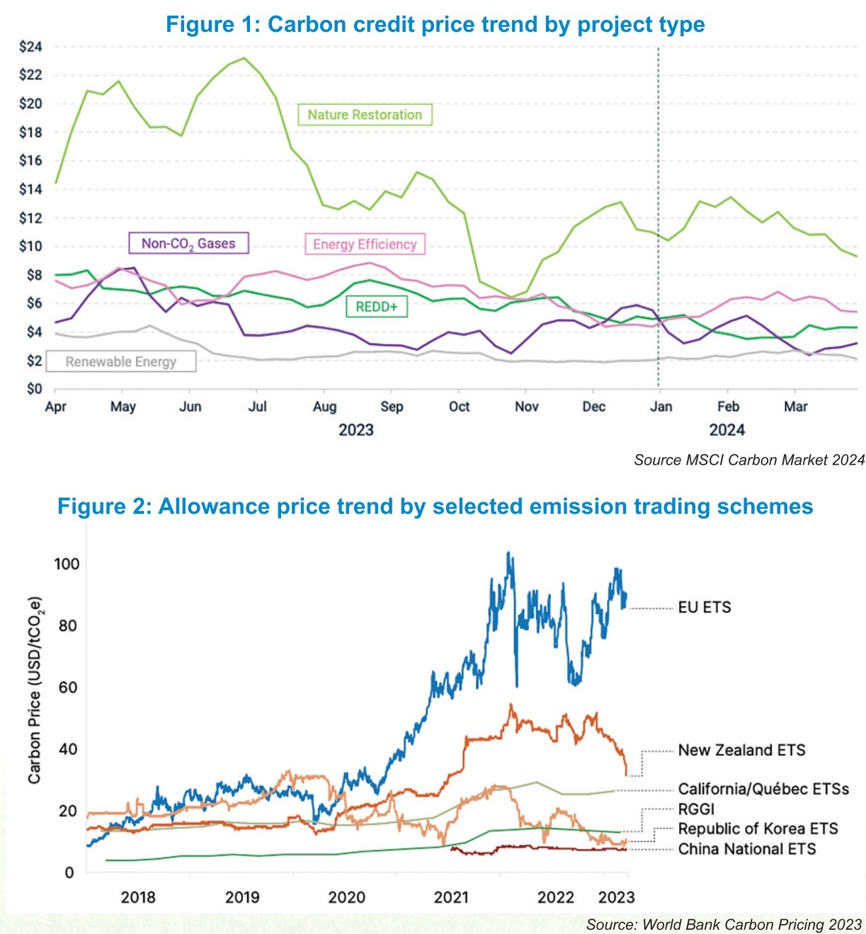 Revealing the truth about the carbon credit market