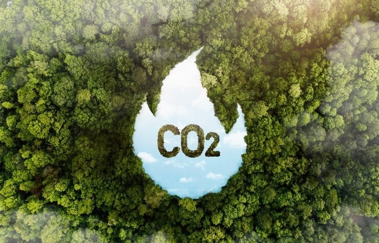 Suggestions pour in for carbon credit development