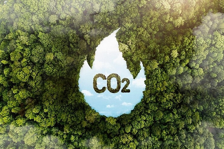 Suggestions pour in for carbon credit development