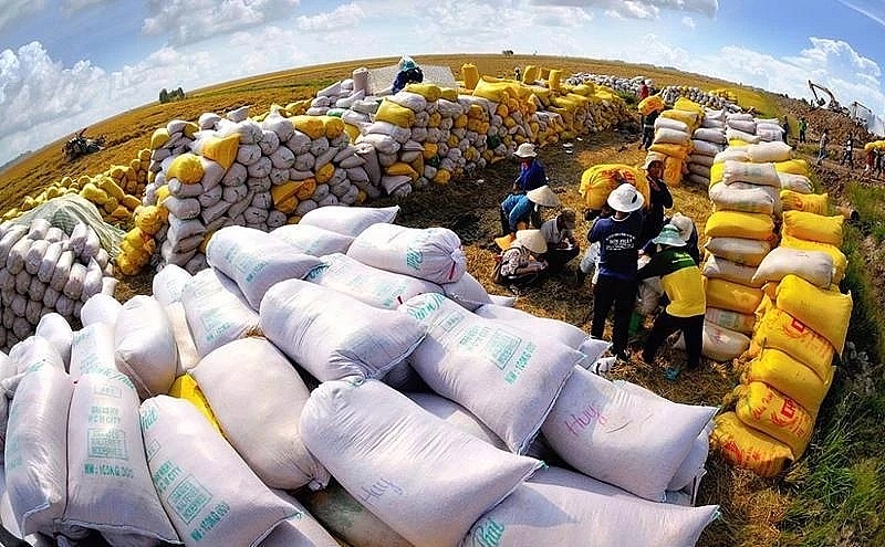 Philippines reduces rice import tax to 15 pc